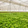 Key factors that drive better crops